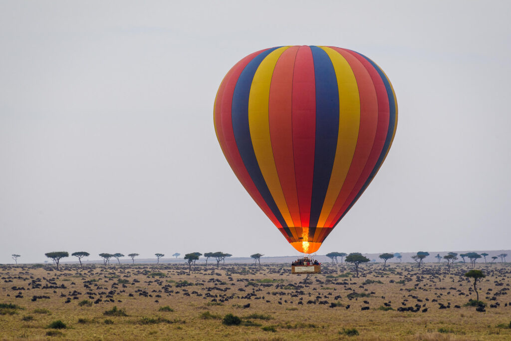 Governors Balloon Safaris _1