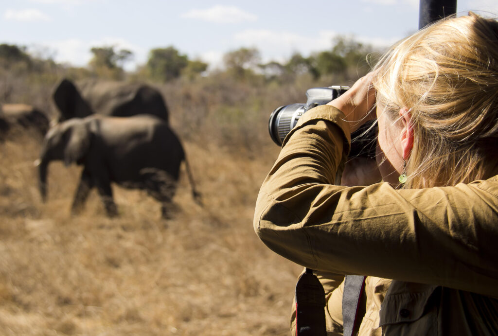 lady-photographing-elies