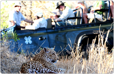 Londolozi209
