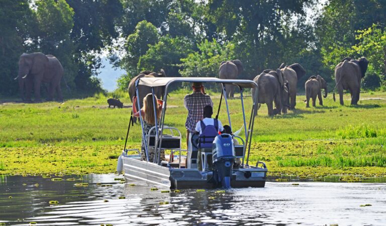 Private-game-viewing-Boat-cruise-Bakers-Lodge