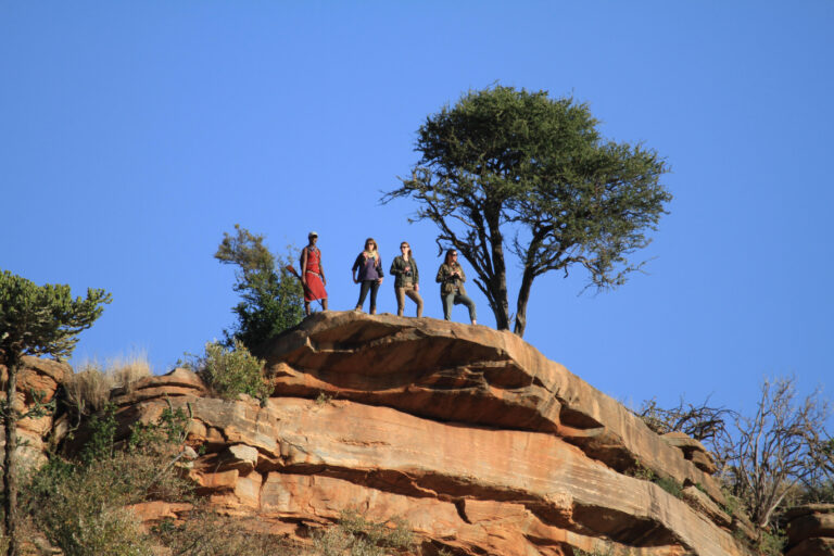 People-Boulder-Tree