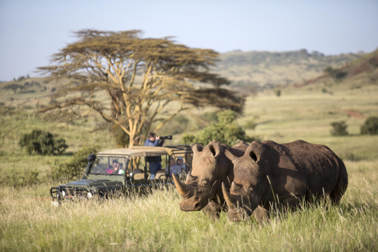 Vehicle-Rhino-Sanctuary