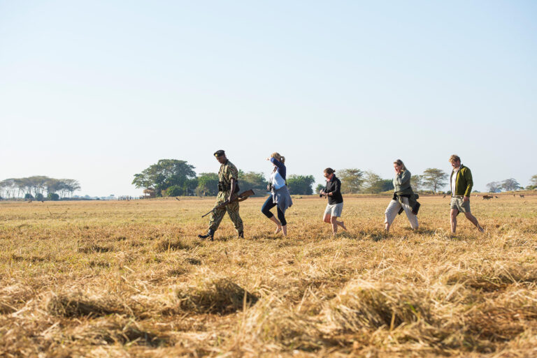 Walking-Safari-Busanga