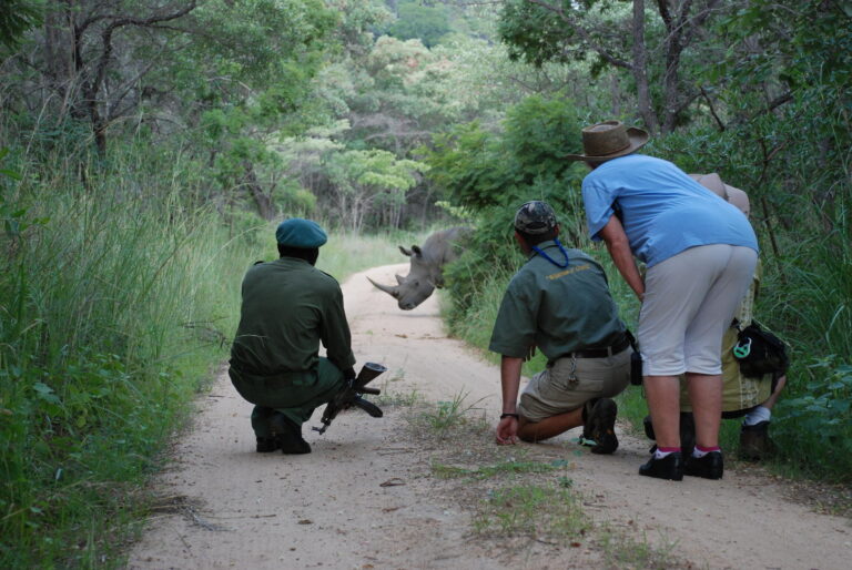 walking-rhinos-Amalinda