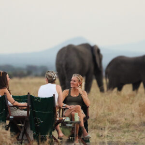 Safari Postcard: Designing Journeys Where Communities, Wildlife and Travelers All Win